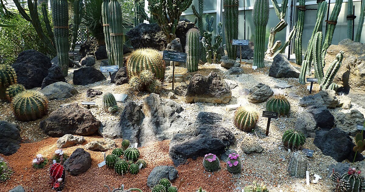 🌸 사쿠야 코노하나관 이미지 6